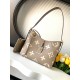 Louis Vuitton CarryAll PM