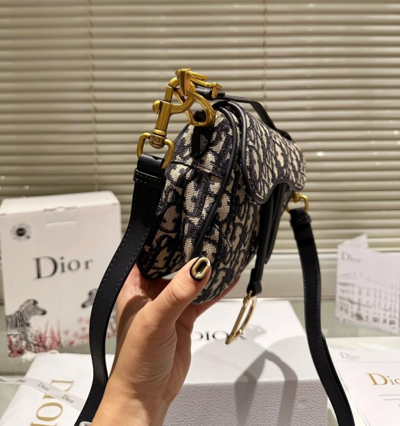 Dior mini Saddle bag