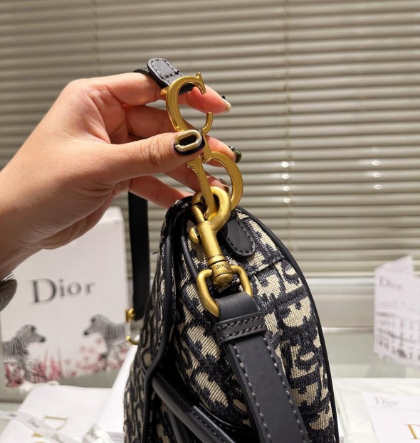 Dior mini Saddle bag